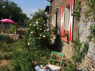 Garten2