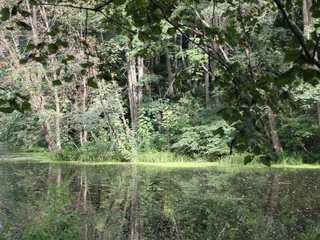 Schlosspark Diedersdorf