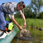 Fischereibetrieb Michael Betge, Plaue
