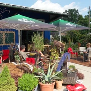 Sommerterrasse im Café