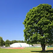 Sport- und Erholungspark Strausberg Strausberg