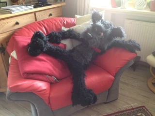 Unsere vierbeinigen Autoren werden bei Lesungen gedoubelt