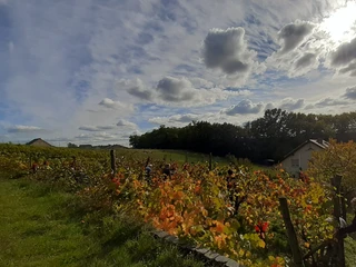 Weingut Familie Richter