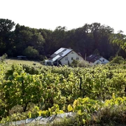 Weingut Familie Richter
