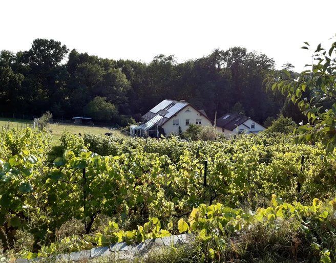 Weingut Familie Richter