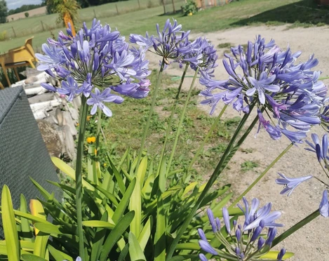 Garten des Bistorante zum Storchennest