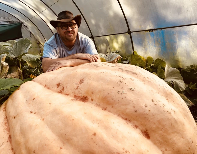 Kürbis-Olli Fürstenwalde