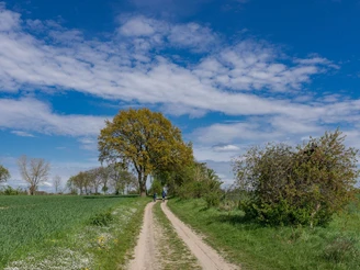 Rund um Berlin Blumberg