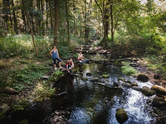 Löcknitztal auf dem 66-Seen-Wanderweg