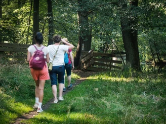 Löcknitztal auf dem 66-Seen-Wanderweg