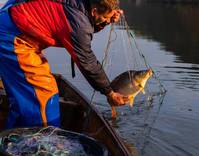 Olaf der Fischer mit Karpfen