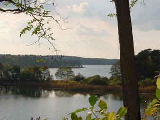 Pinnow See Ausblick
