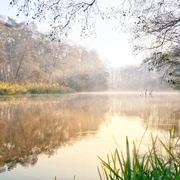 Spree bei Fürstenwalde