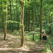 Wandern bei Falkenberg