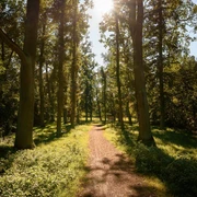 Arboretum