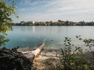 Straussee