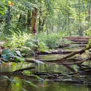 Naturparkroute Märkische Schweiz