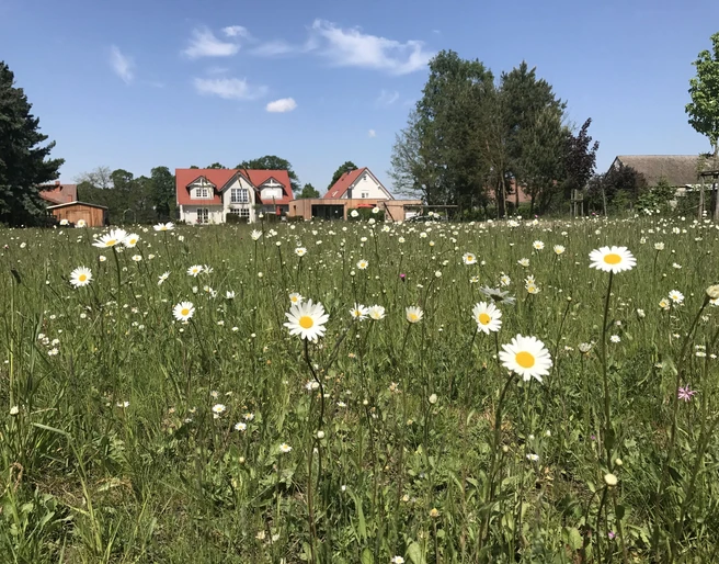 Landhaus Alwine