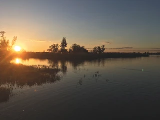 Sonnenuntergang an der Oder
