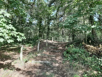 Kulisch Berg in Neuzelle