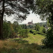 Kulisch Berg in Neuzelle