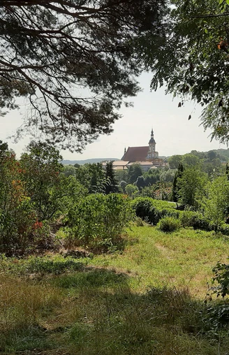 Kulisch Berg in Neuzelle