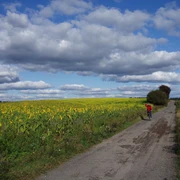 Landweg bei Lawitz
