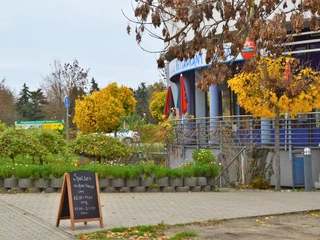 Griechisches Restaurant Kreta in Strausberg