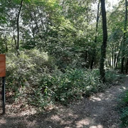 Spaziergang zum Hanna Bieber Böhm Denkmal