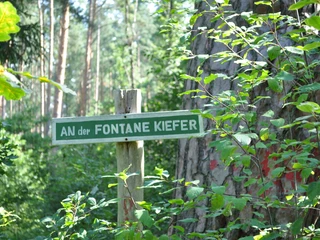 Rast an der Fontane-Kiefer im NSG Löcknitzta