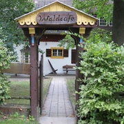 Waldcafe Drei Eichen