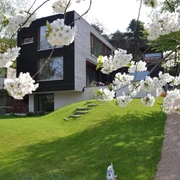 Ferienwohnung am Einsteinhaus