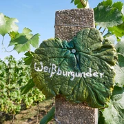 Weingut Patke