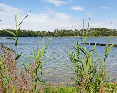 Strandbad am Baggersee Gusow