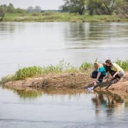 Oder-Neiße-Mündung