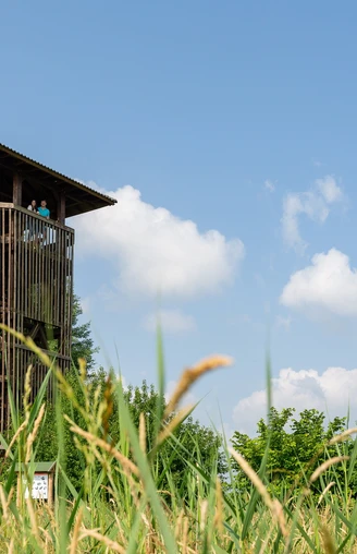 Aussichtsturm Selchow