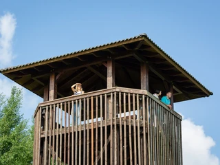 Aussichtstum in Groß Schauen