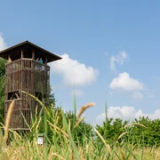 Aussichtstum in Groß Schauen