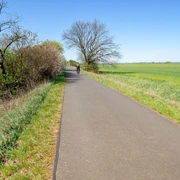 Oderbruchbahn-Radweg