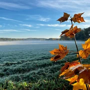 Wierichwiesen im Herbst
