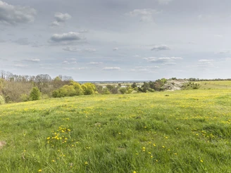 Oderhänge bei Lebus