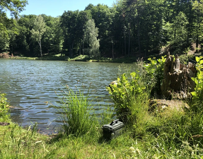 Outdoor-Escape-Spiel "Clara"