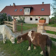 Ferienhaus Spree-Alpakas