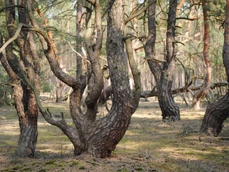 Naturpark Dahme-Heideseen