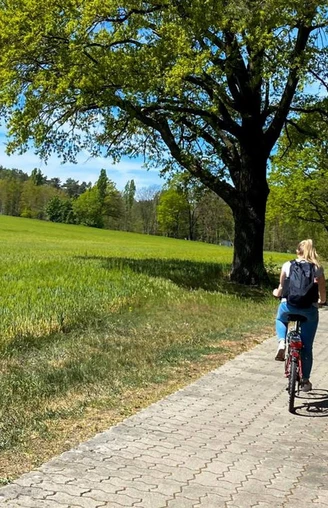Naturpark Dahme-Heideseen