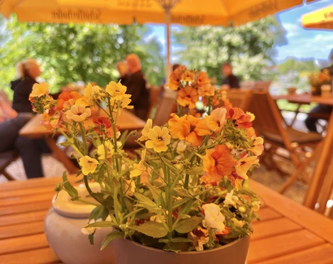 Restaurant Heinitz 11