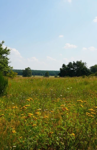 Hutelandschaft Altranft