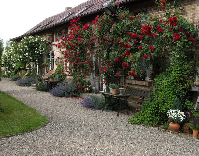 Eingang Ferienwohnung Lüneberg