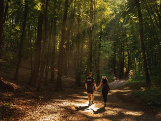 Wanderweg bei Falkenberg
