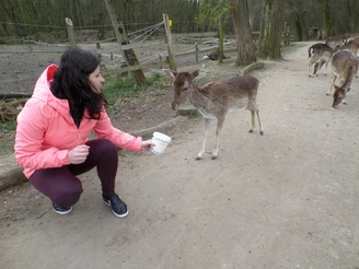 Familienspaß Wildpark